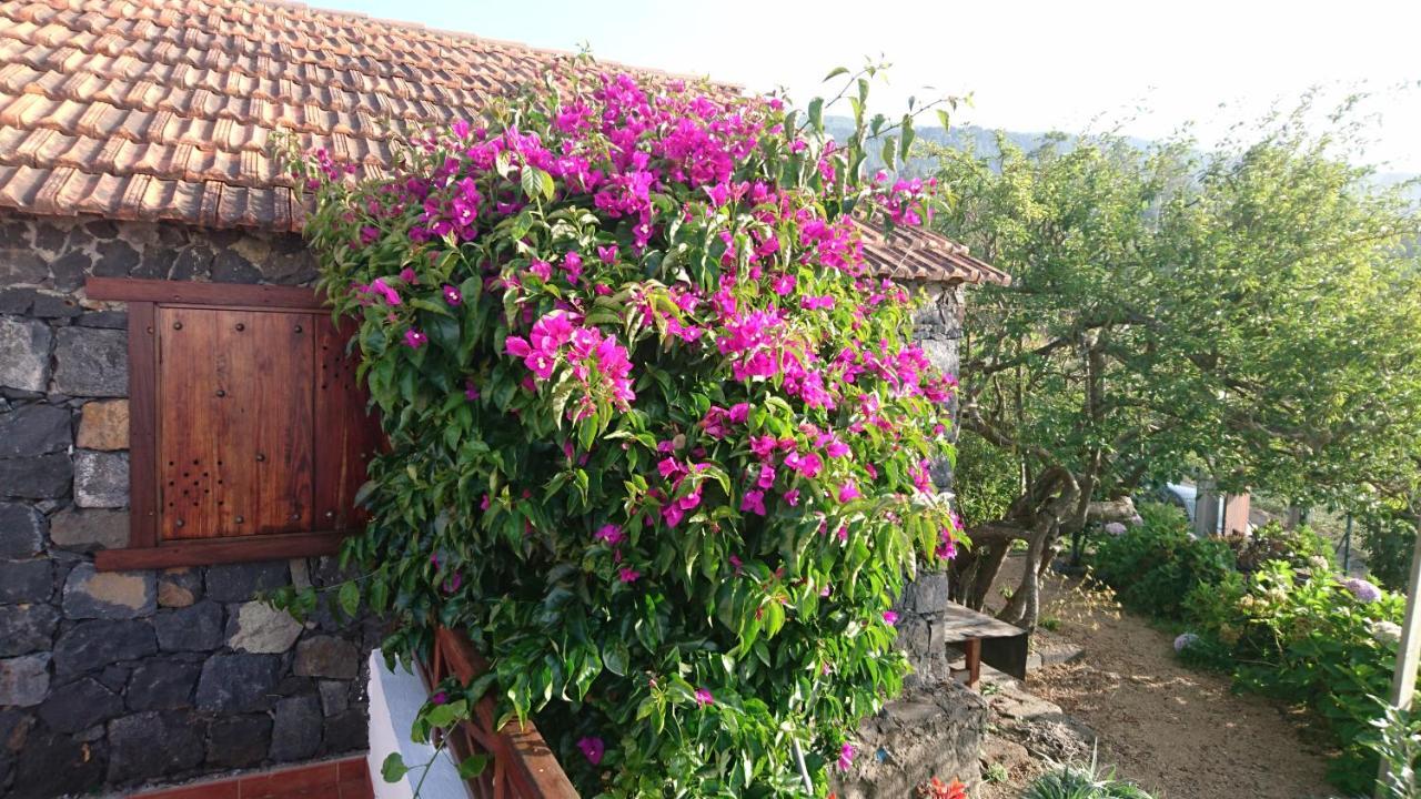 Affittacamere El pajar de Inés La Orotava Esterno foto